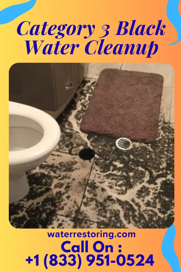 Category 3 Black Water Cleanup in Gamewell, NC